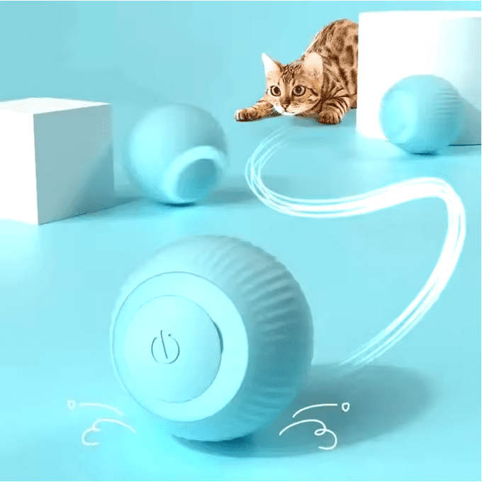 Interactive Ball Cat Toy - Image 2