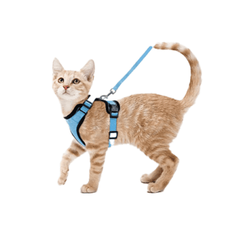 Cat Harness and Leash